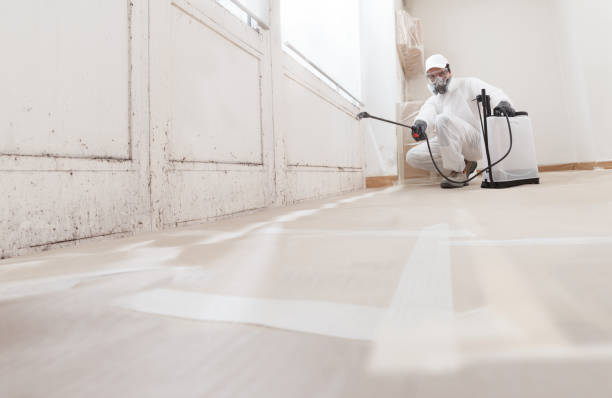 24/7 Emergency Mold Removal experts in Byron Center, MI